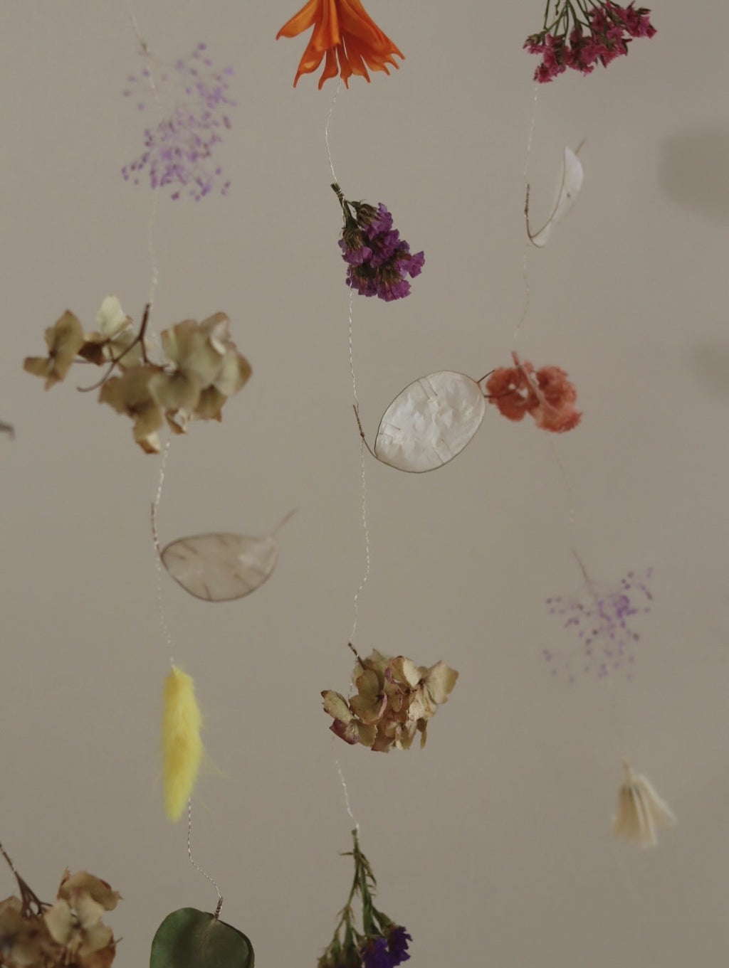 Atelier mobile en fleurs séchées