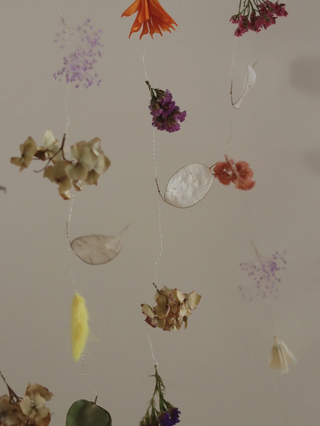 Atelier mobile en fleurs séchées