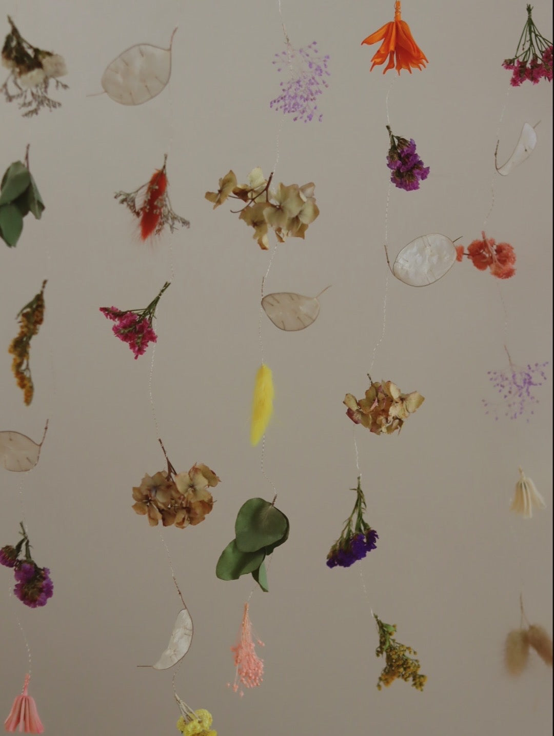 Atelier mobile en fleurs séchées