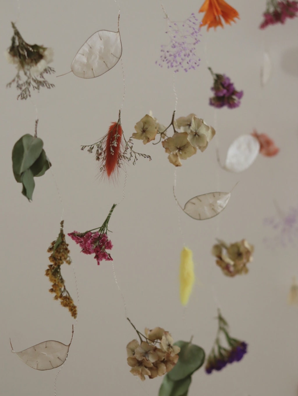 Atelier mobile en fleurs séchées