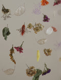 Atelier mobile en fleurs séchées