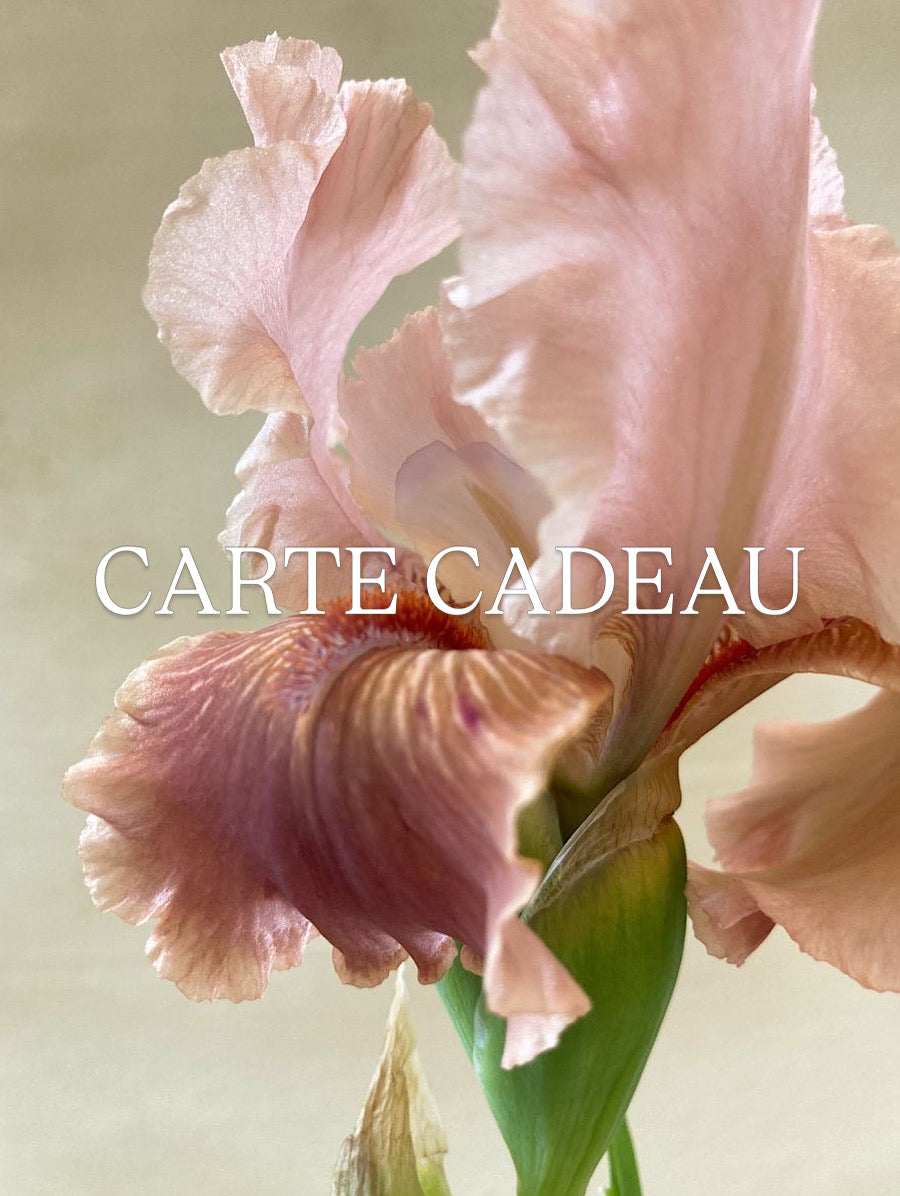 Carte cadeau
