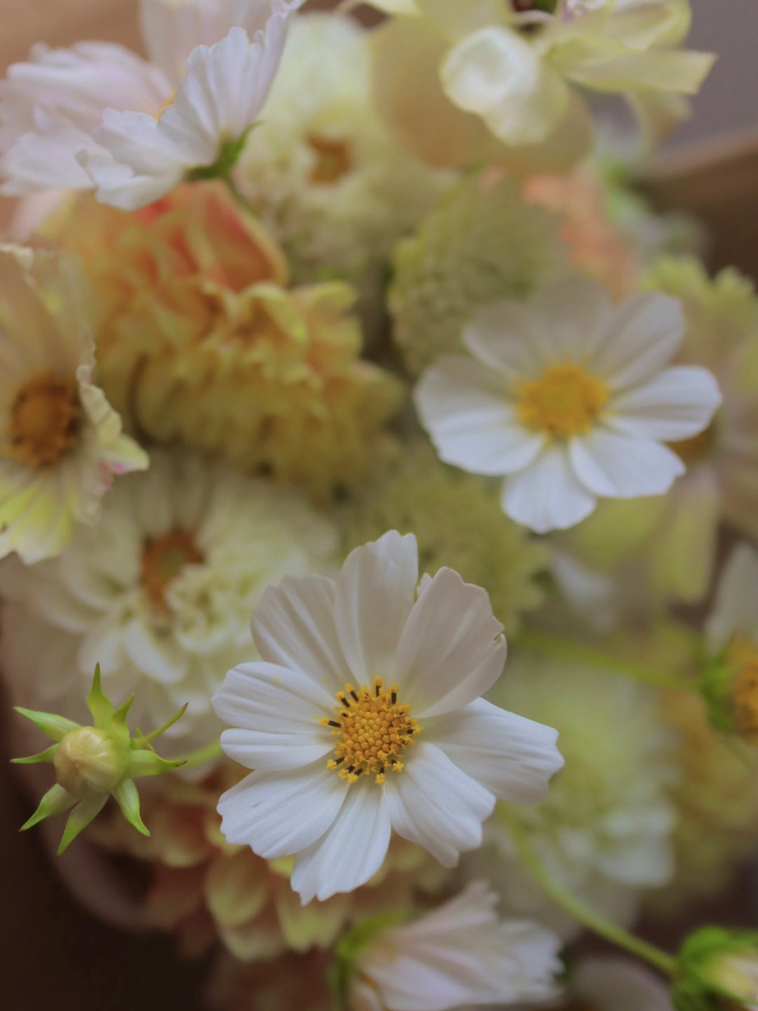 Atelier Bento Fleurs