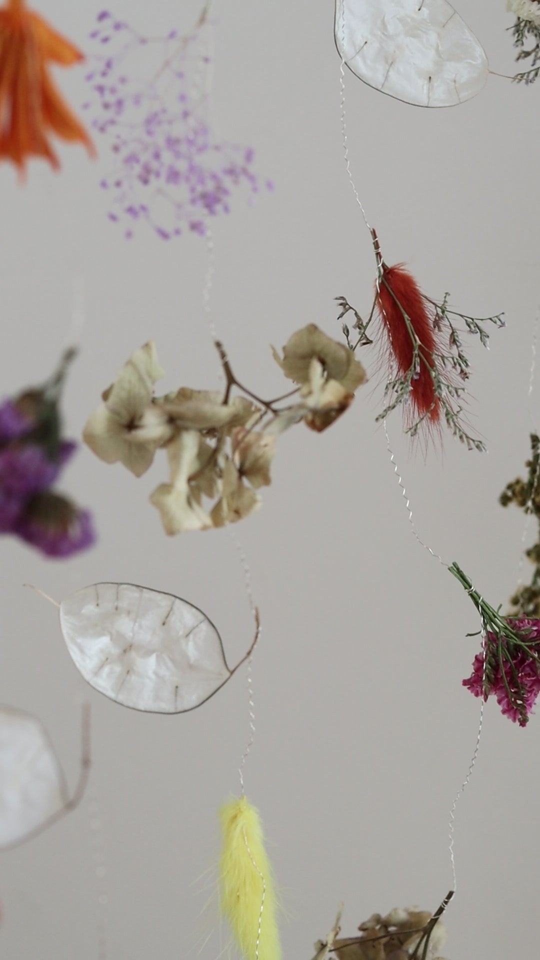 Atelier mobile en fleurs séchées
